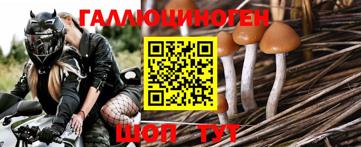 Галлюциногенные грибы MAGIC MUSHROOMS  Псилоцибиновые грибы MAGIC MUSHROOMS  Ростов-на-Дону  Вход с VPN 